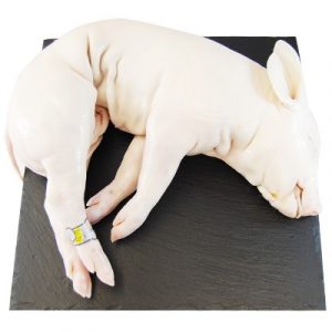 Cochinillo Alta Selección de Segovia